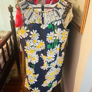 Vintage Lilly Pulitzer size 10 Daisy ladybug dress
